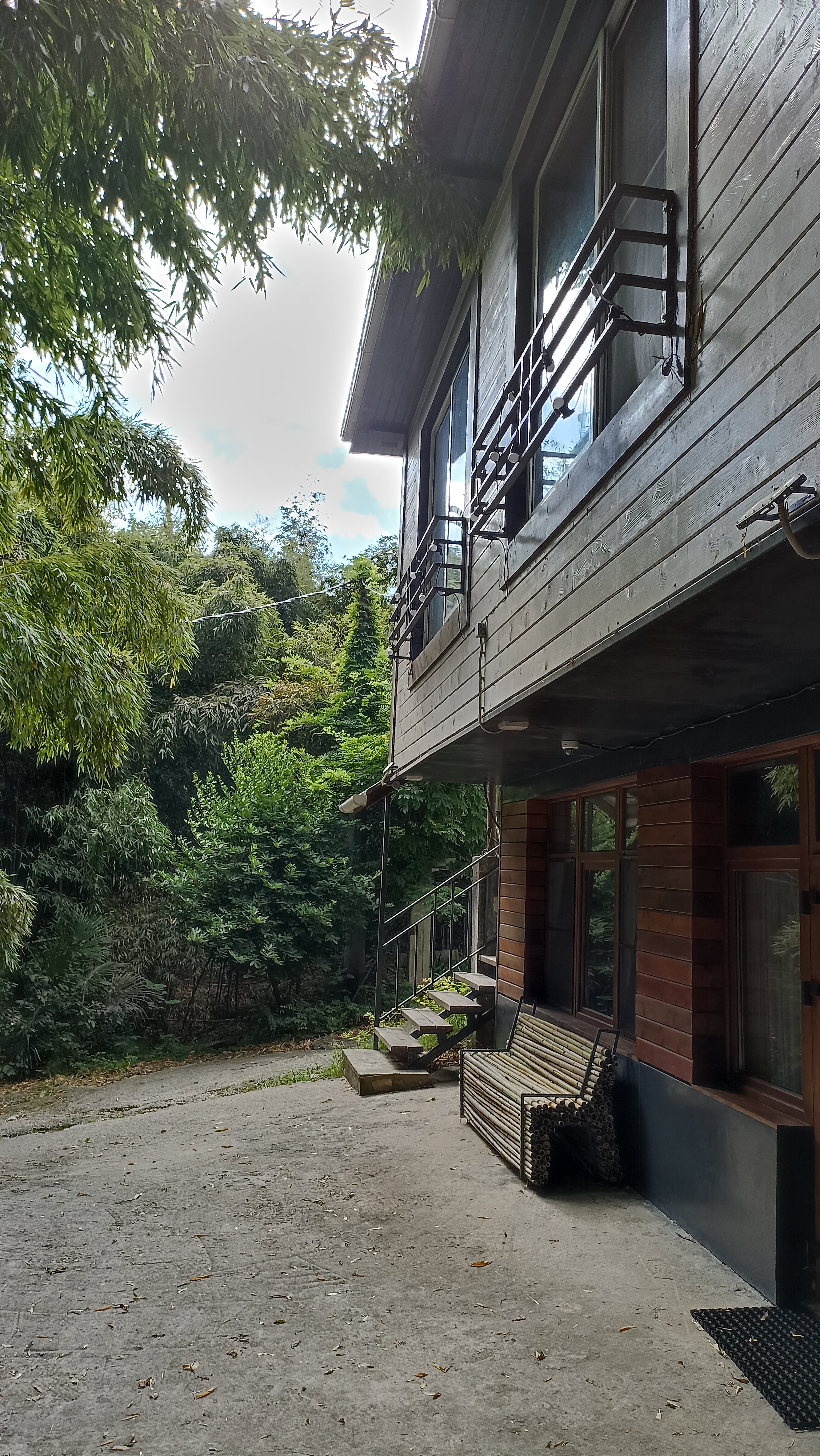 Фото Бамбуковая Роща