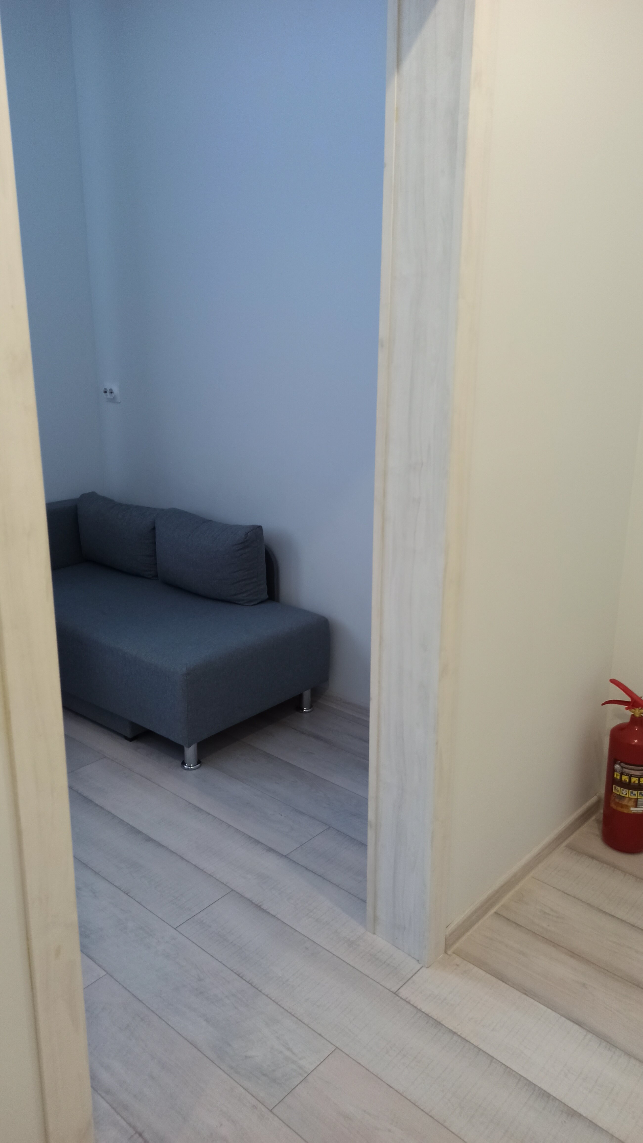 Фото  Гнездо