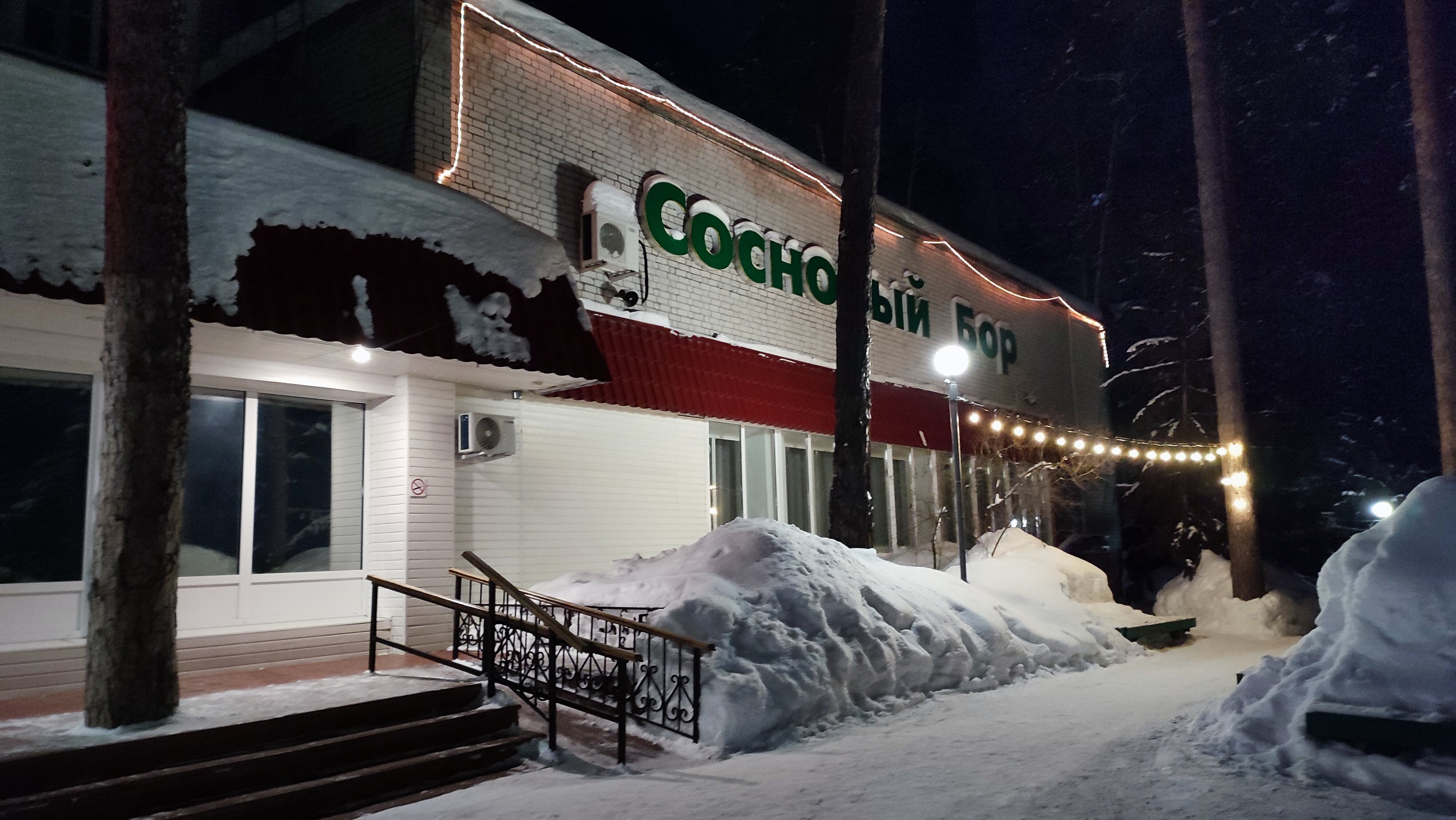 Фото Сосновый бор