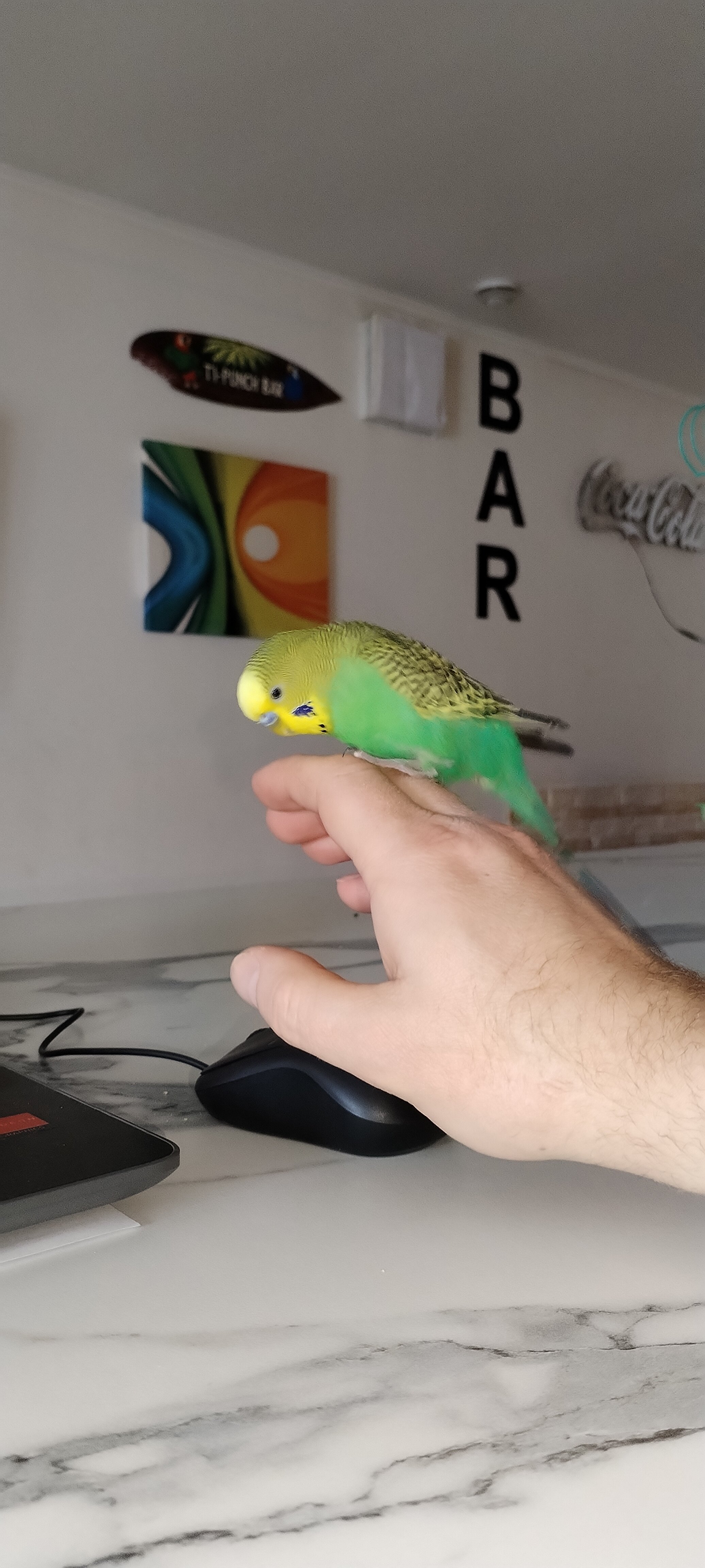 Фото Квартира 31