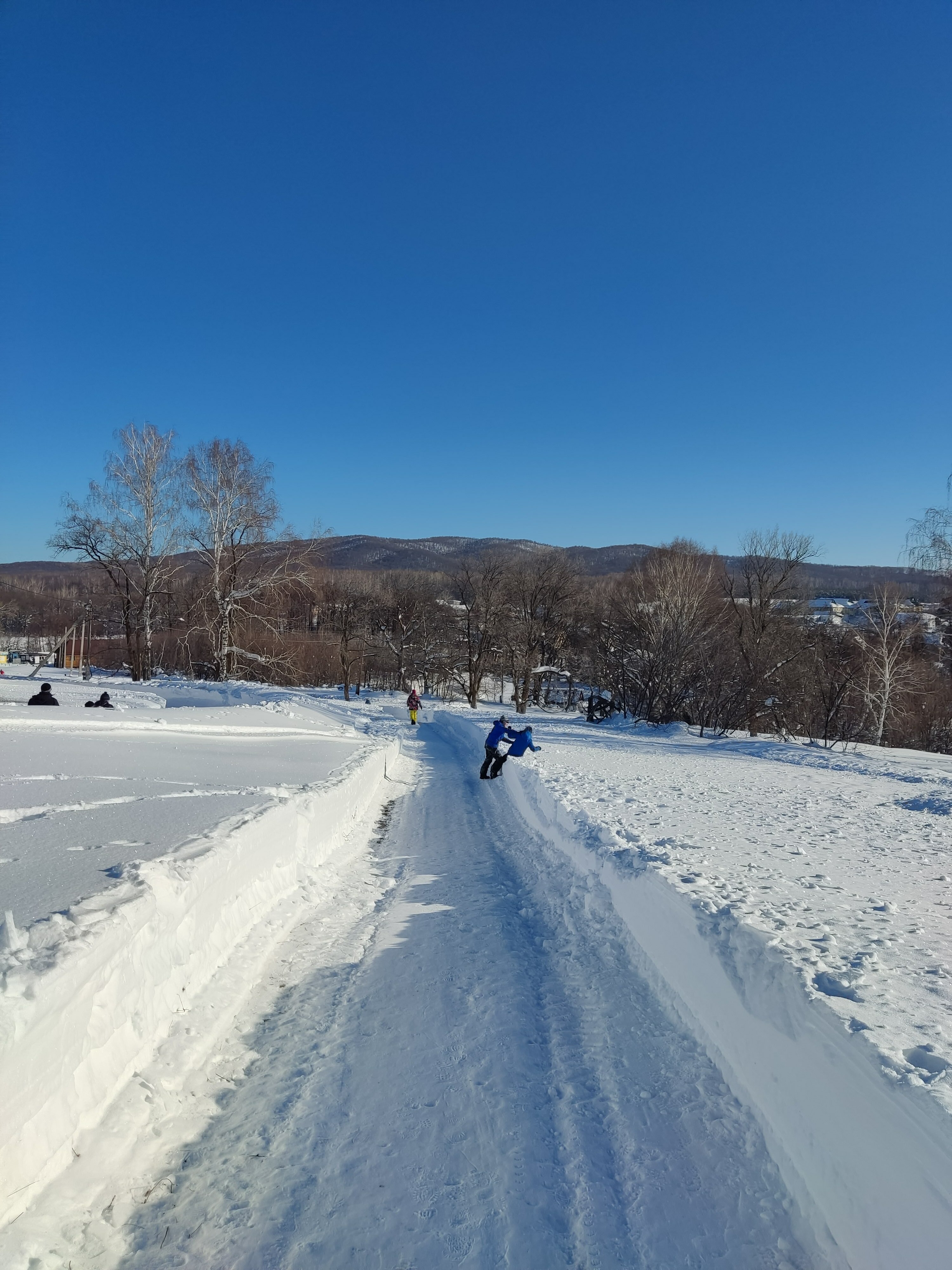 Фото Лесная сказка