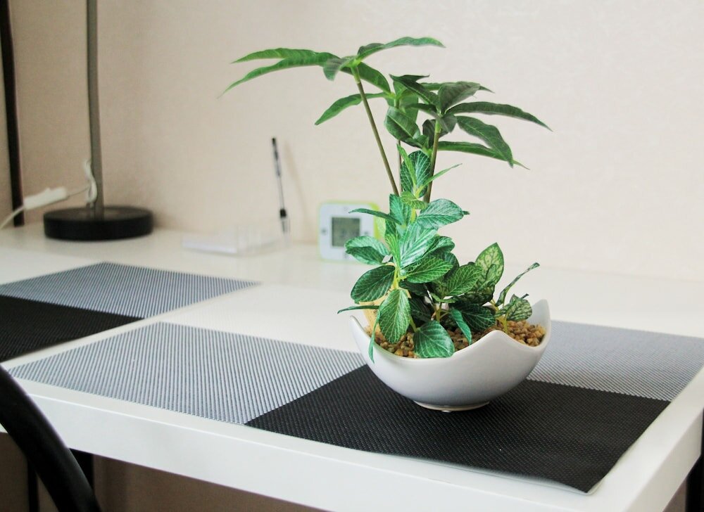 Фото Shirakabanoyado-Akinai