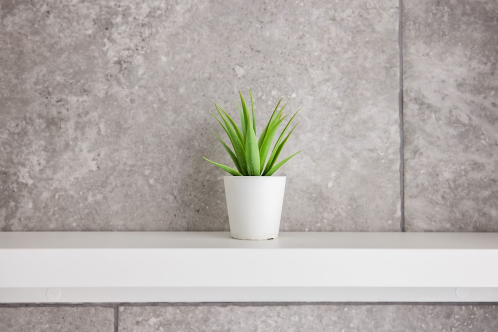 Фото The Bayswater Flats