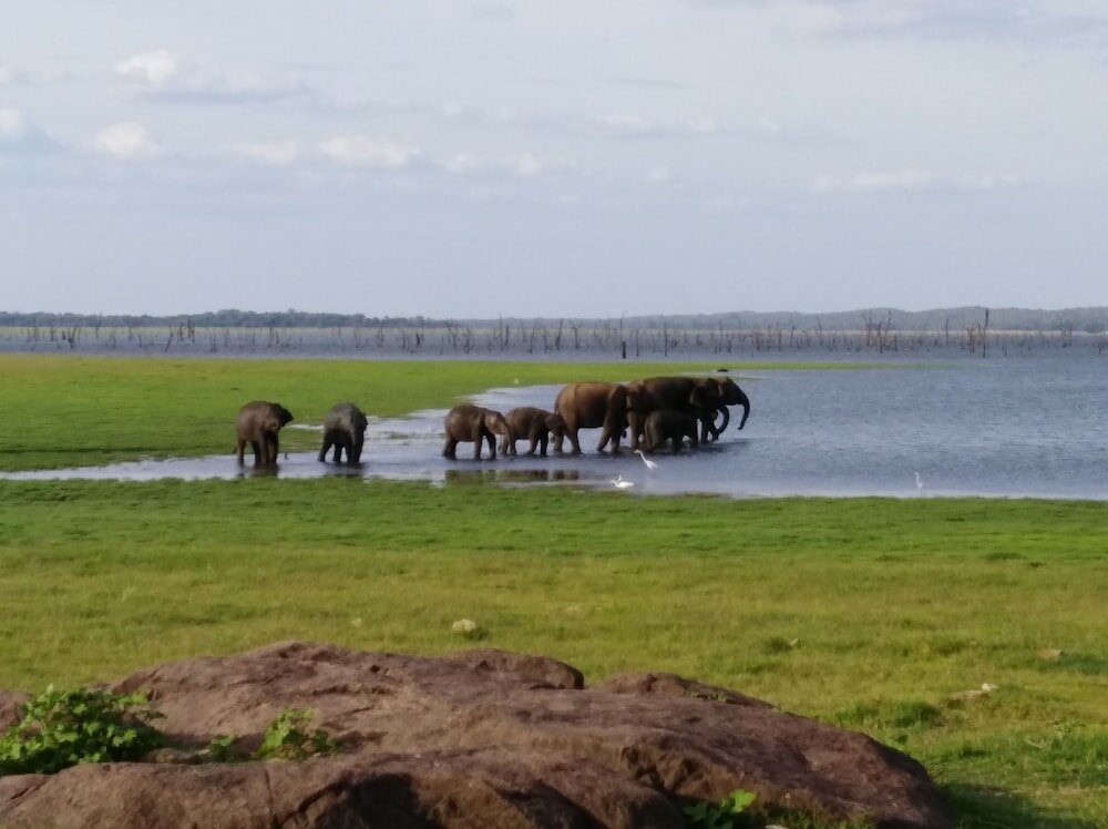 Фото Athena lake Boutique