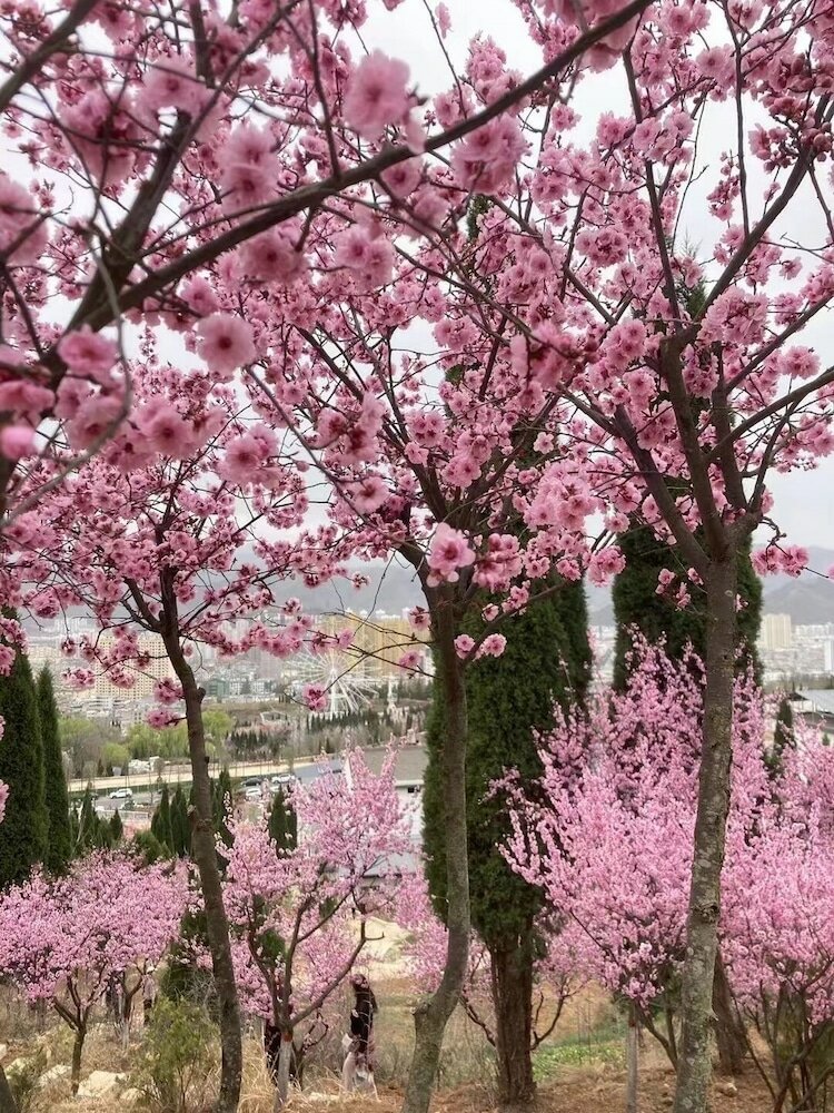 Фото East Sacred Hotel