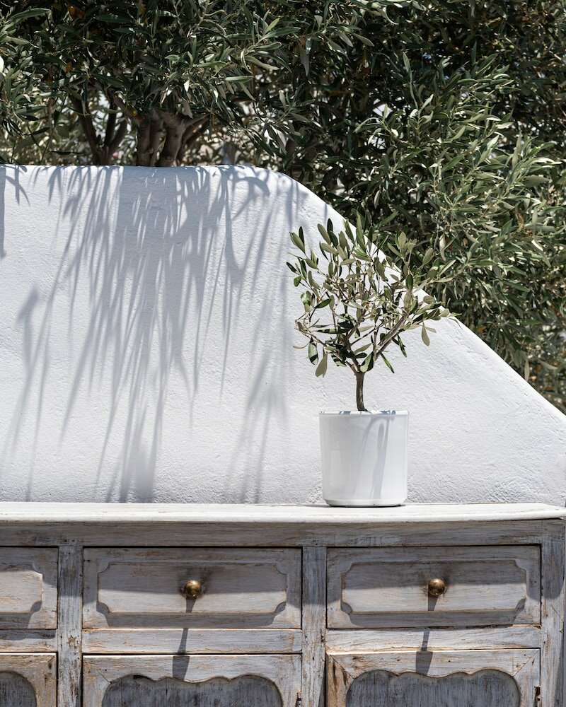 Фото Andronis Luxury Suites