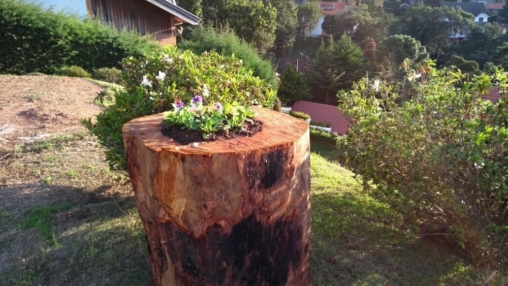 Фото Hotel Pousada Bella Locanda