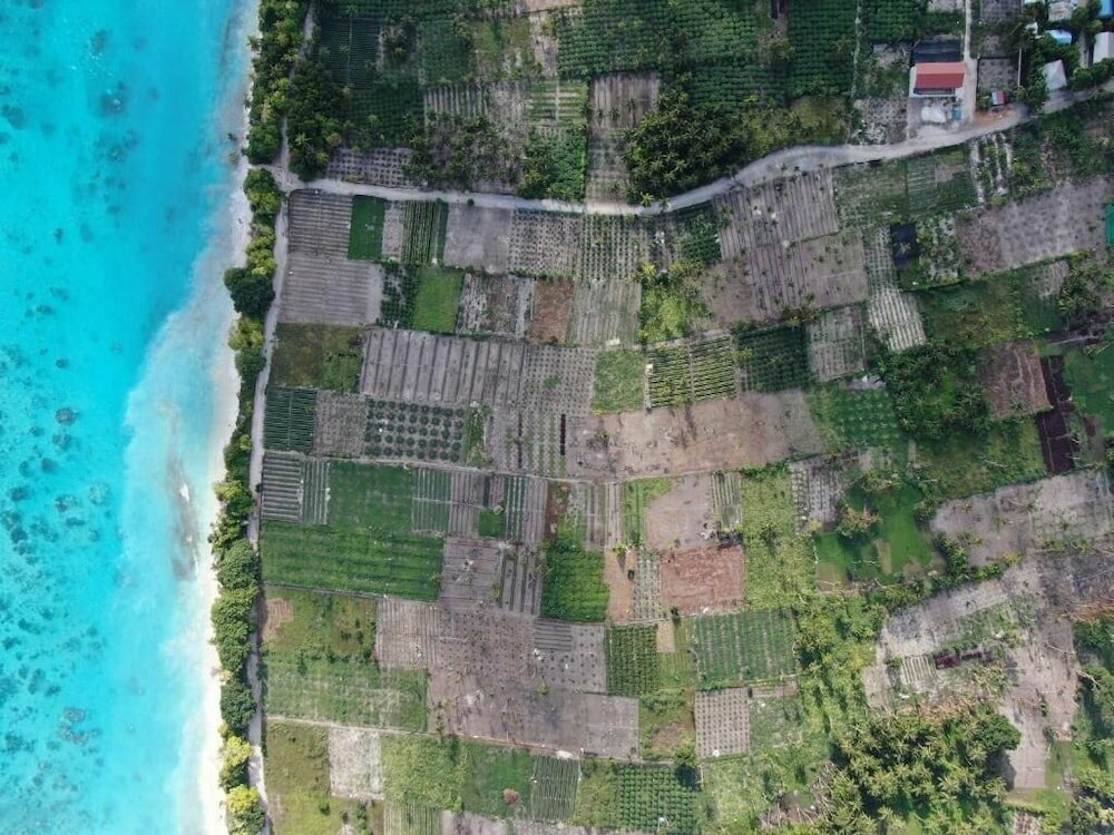 Фото Thila Farm View Guest House