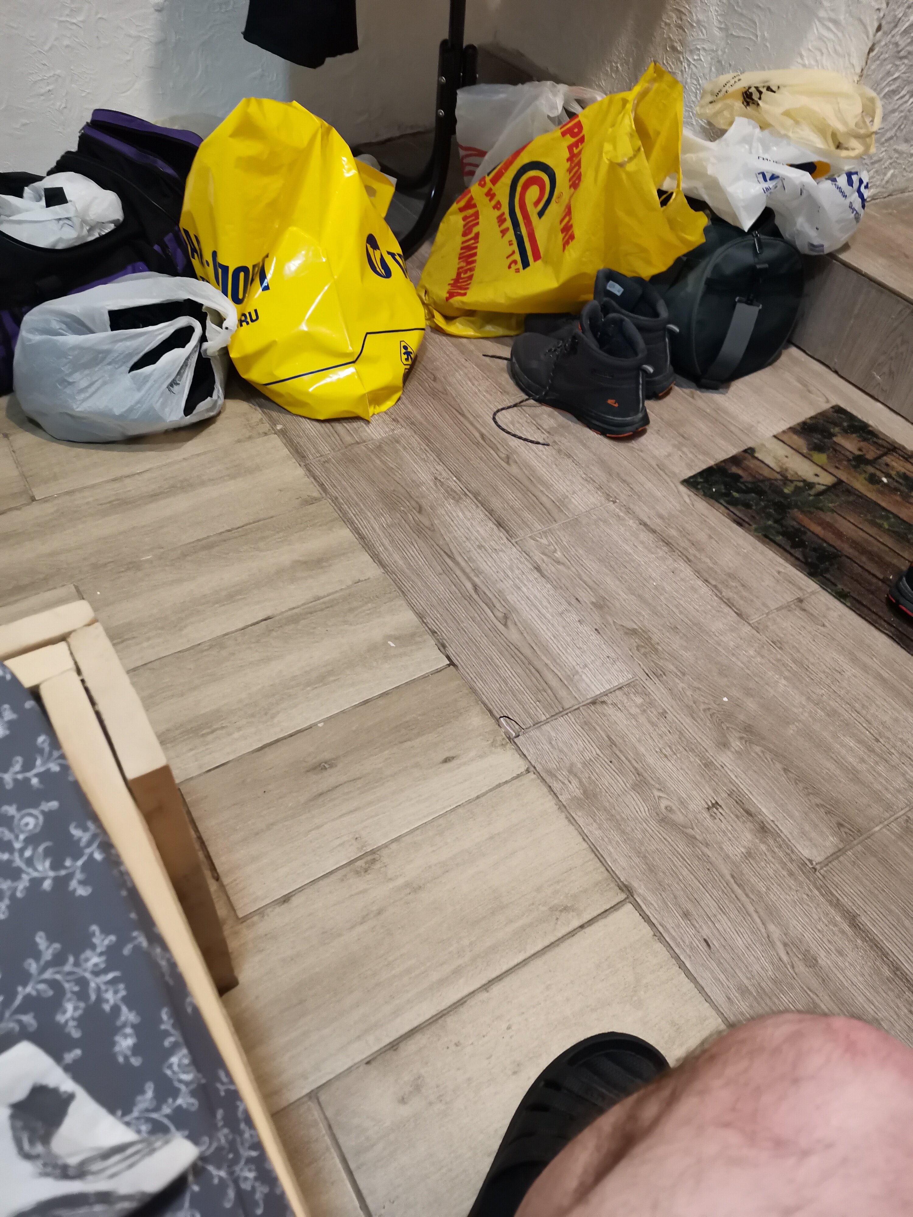 Фото Сила Сибири