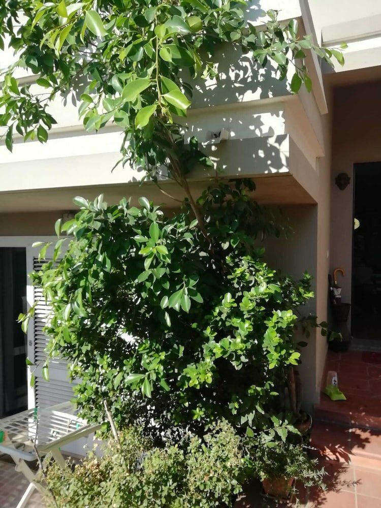 Фото B&b Filomena