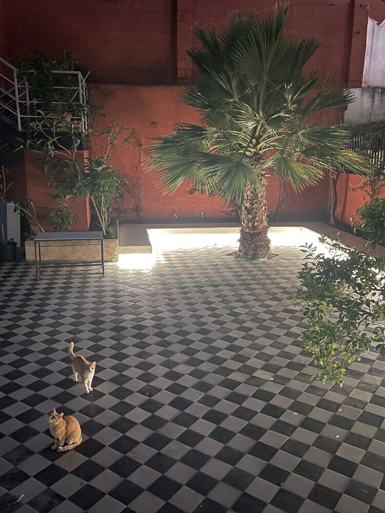 Фото Art Of Living - Hostel