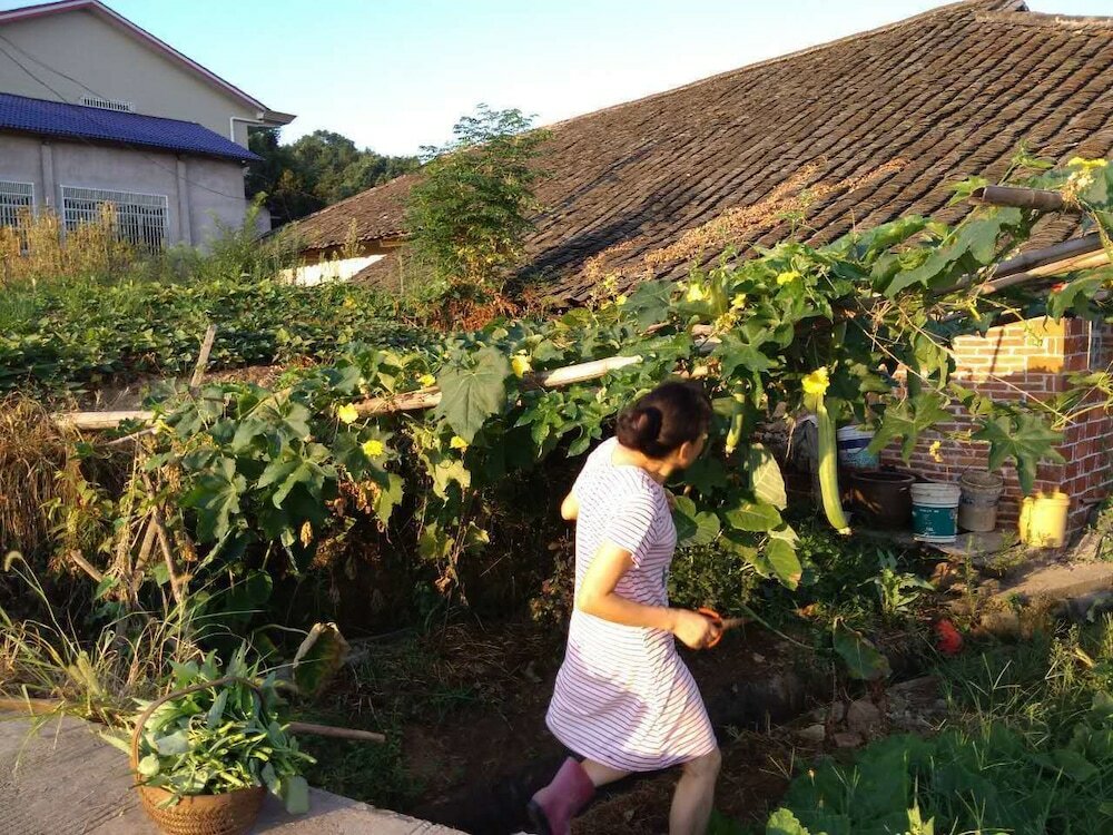 Фото Julians Country Inn