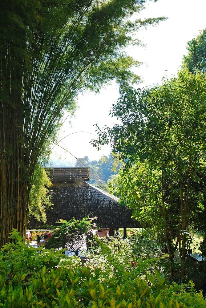 Фото Vanilla Hill