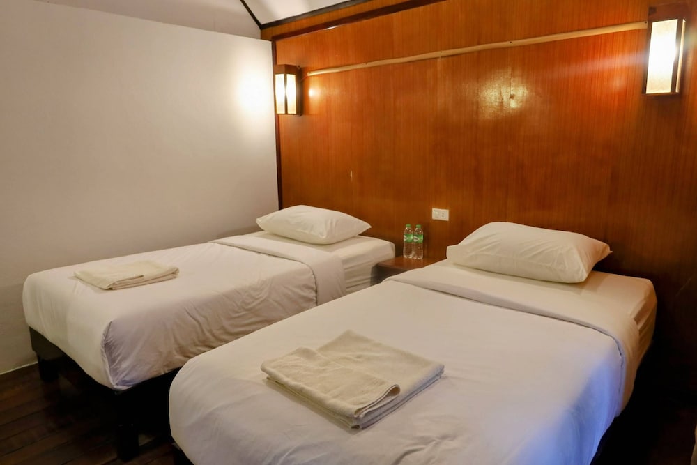 Фото Ziggy Stardust