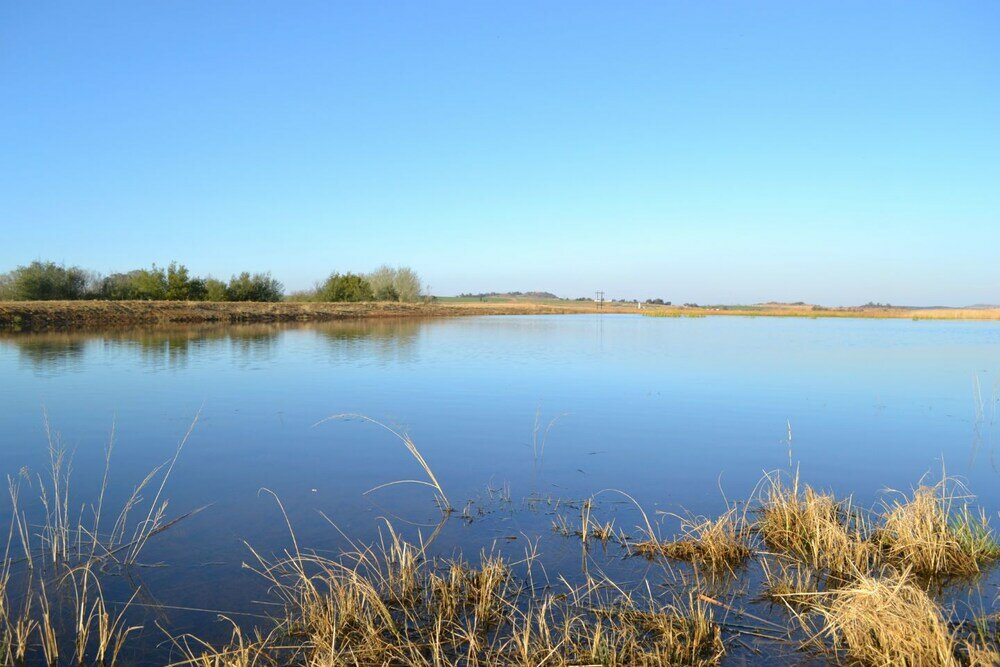 Фото Bingelela Lodge