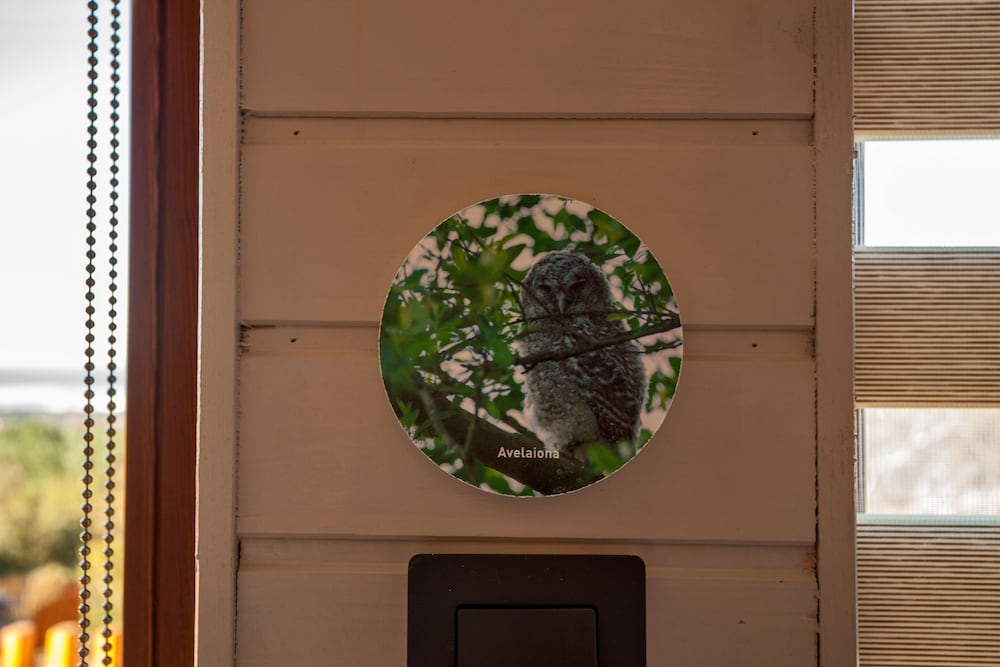 Фото Nidos de Carnota