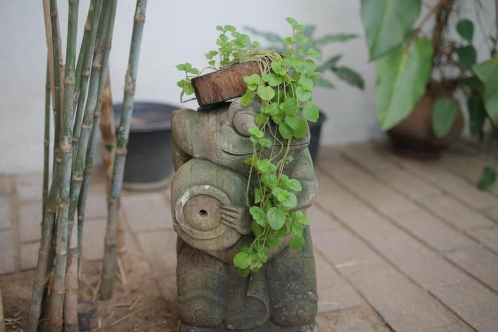 Фото Moss Colombo