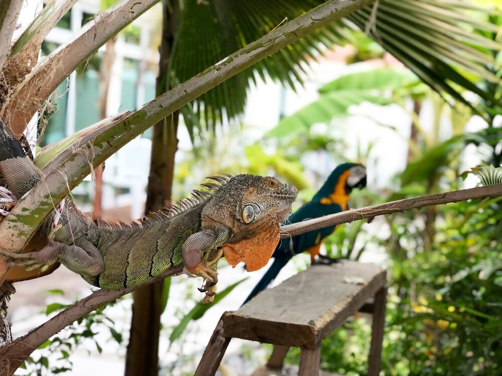Фото Отель Perla Dhangethi