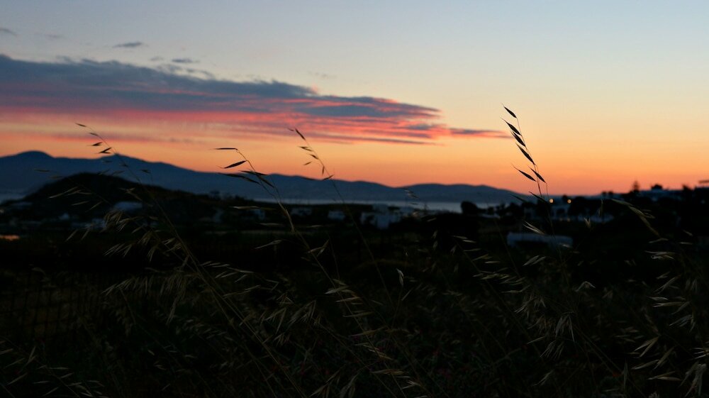 Фото Proteas Hotel & Suites