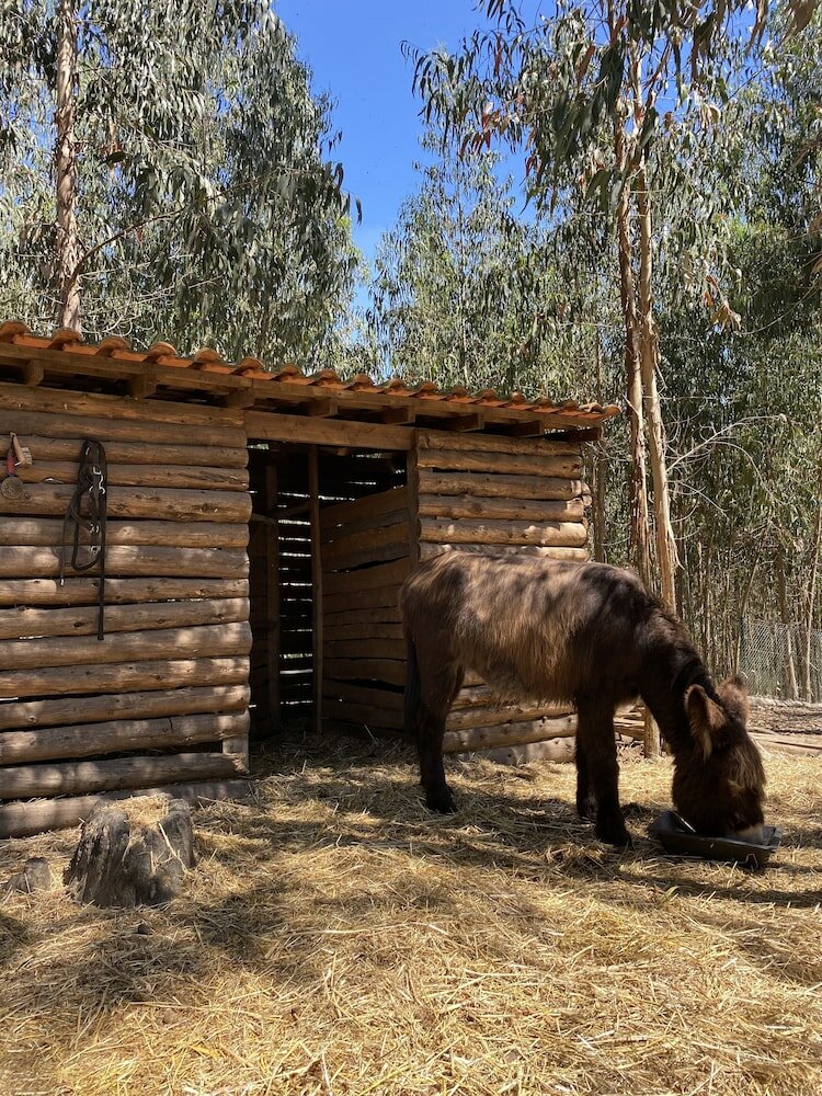 Фото Quintinha Silvestre