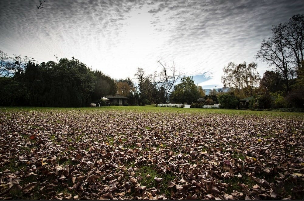 Фото Comalle Party Hotel