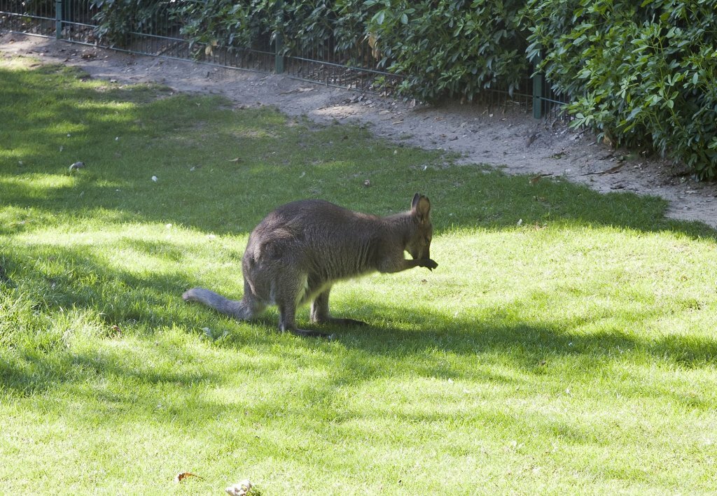 Фото Timhotel Jardin des Plantes