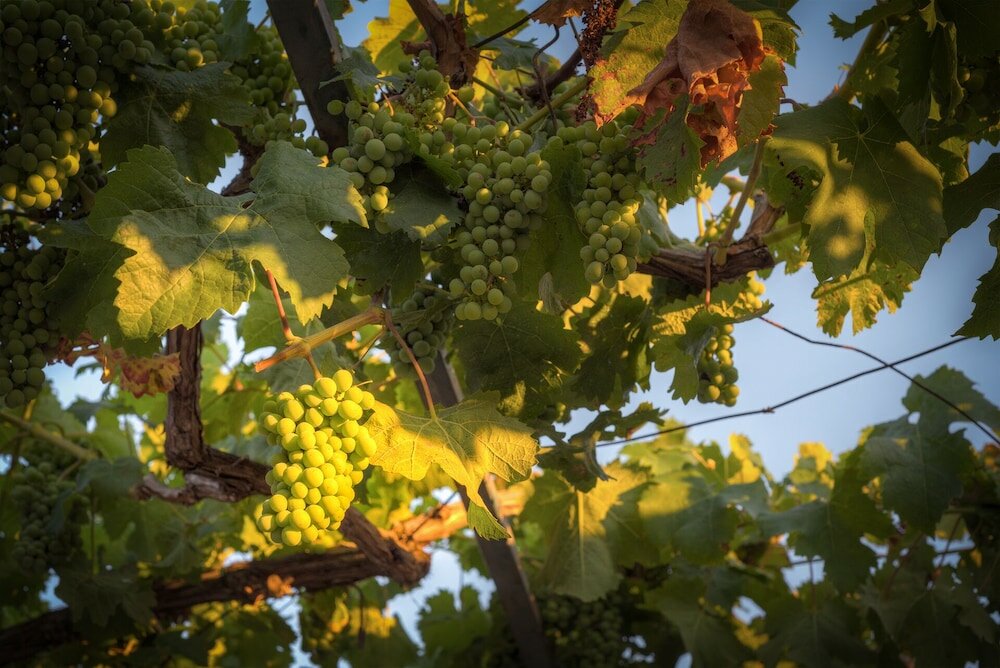 Фото Trullo del Falegname Ostuni by Typney