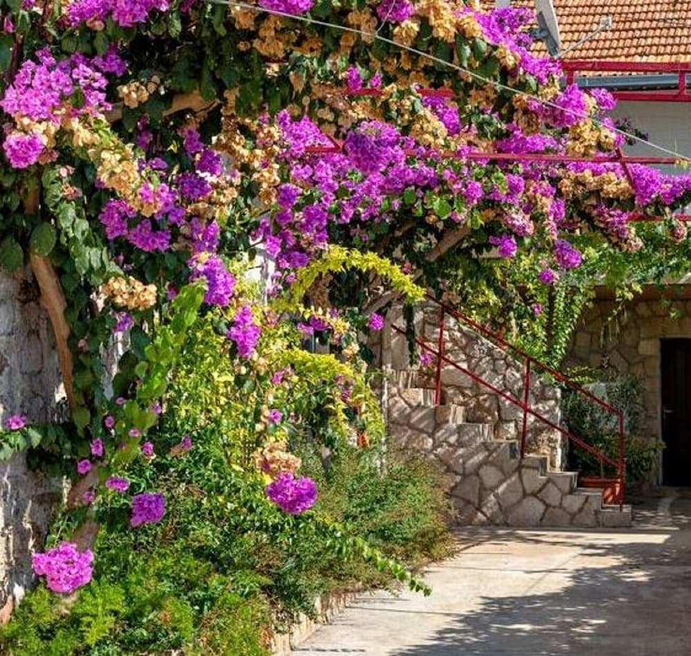 Фото Barba - Apartments With Air Conditioning - A3