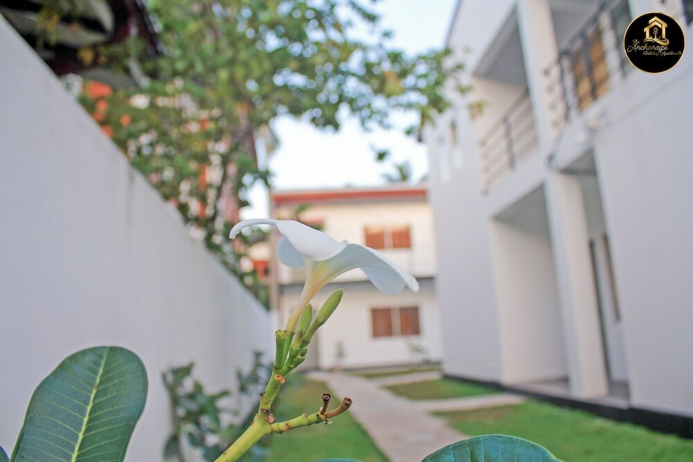 Фото The Anchorage Holiday Apartments Negombo