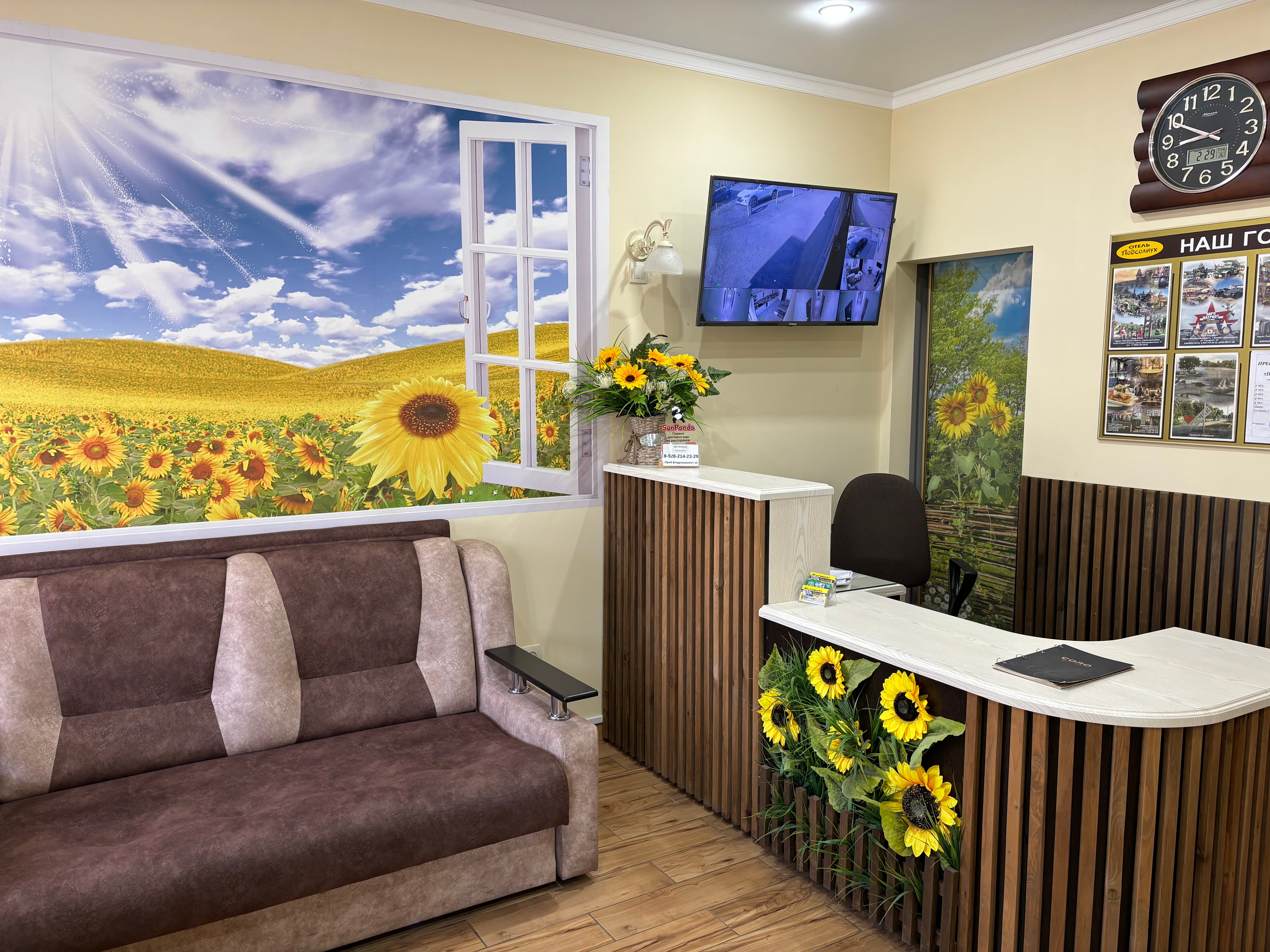 Фото Подсолнух