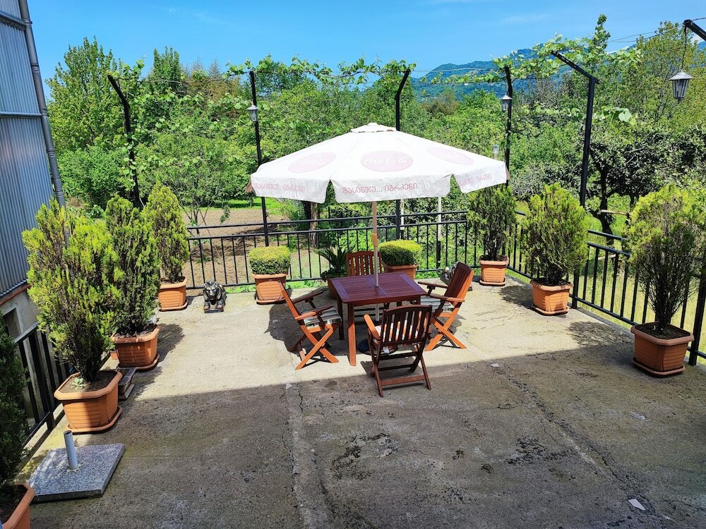 Фото Hotel Botanica