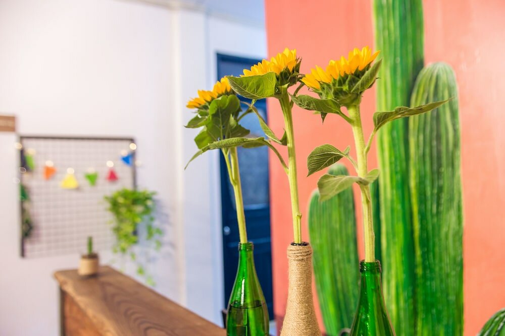 Фото Zone Danang Hostel