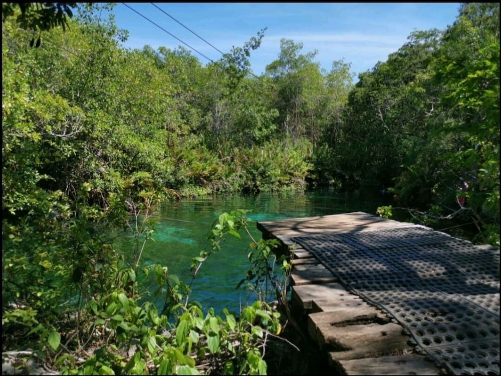 Фото Jungle Penthouse