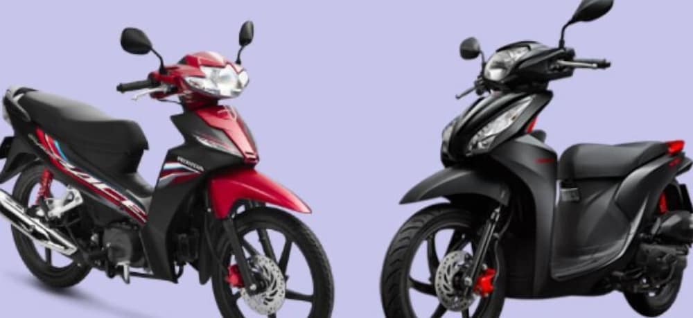 Фото Dalat Casa 2 Full House 6 Rooms 8 Beds