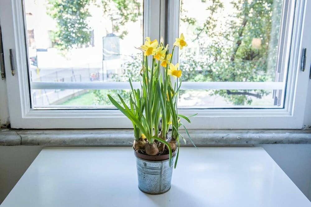 Фото Flatinrome Termini 2