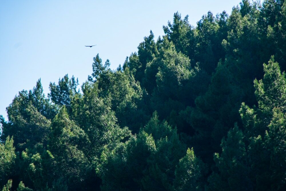 Фото Family Private Homes with Sea View