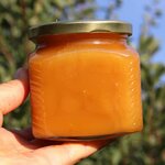 Натуральный мёд (Алматинская область, Талгарский тракт), мёд и продукты пчеловодства в Алматинской области