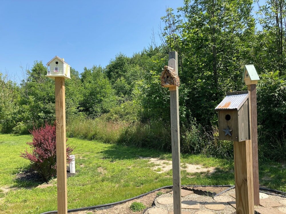 Фото Glenn Meadow Bed and Breakfast