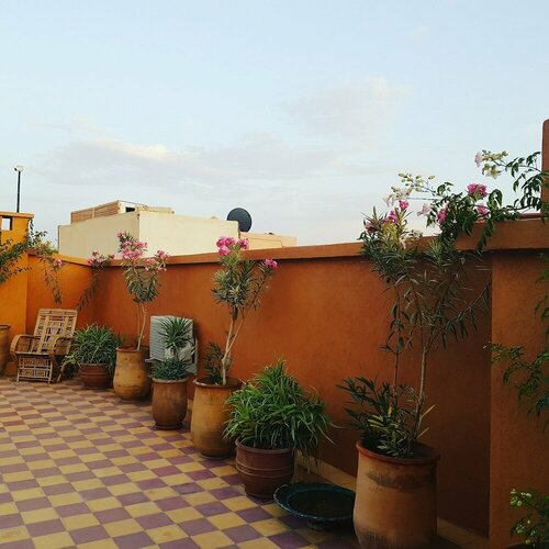 Гостиница Riad New Moon в Марракеше