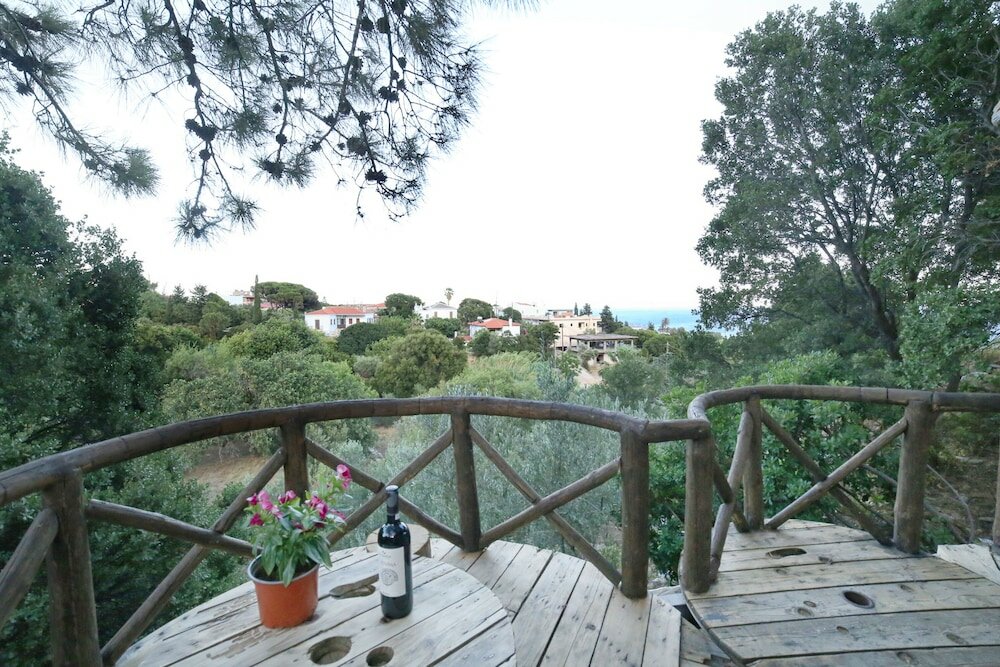 Фото Captain Ikaros