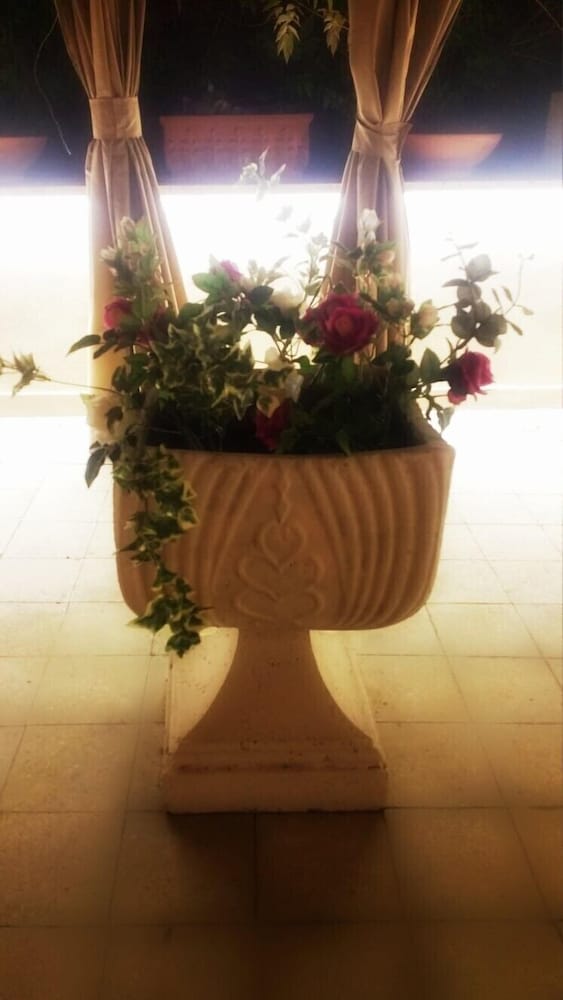 Фото Garden House - Luxury Guest House