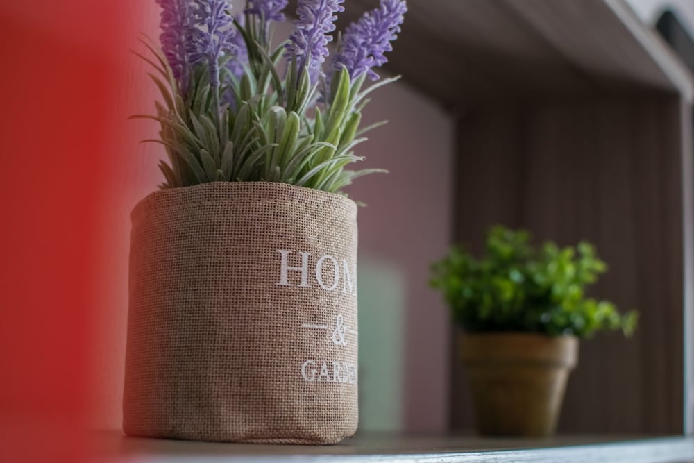 Фото Avra Comfort Rooms- Family