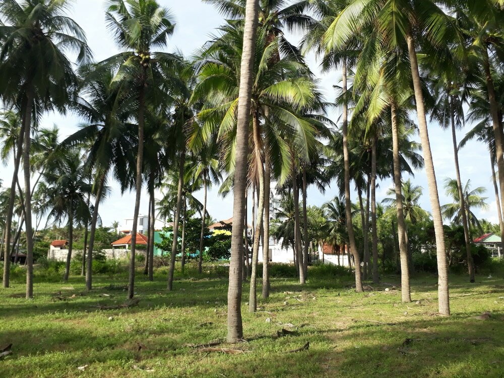 Фото Damina Boutique Hotel