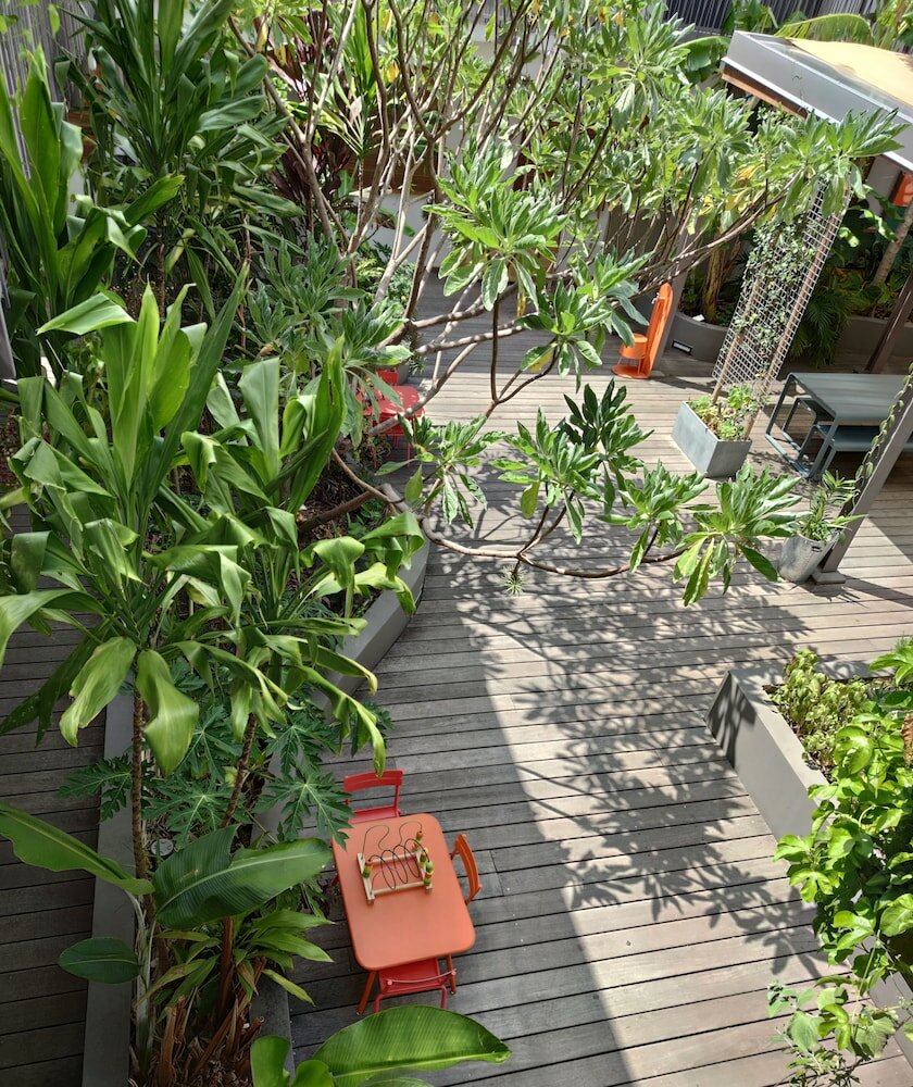 Фото Hotel Gondwana - City Green