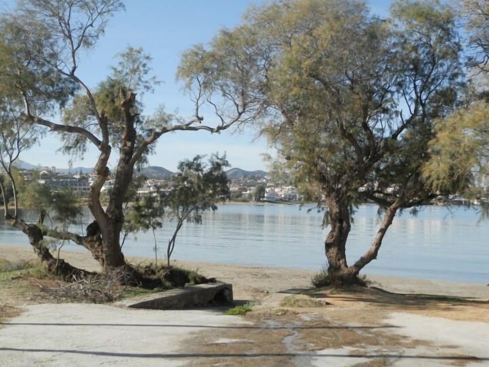 Фото Ilias Apartments