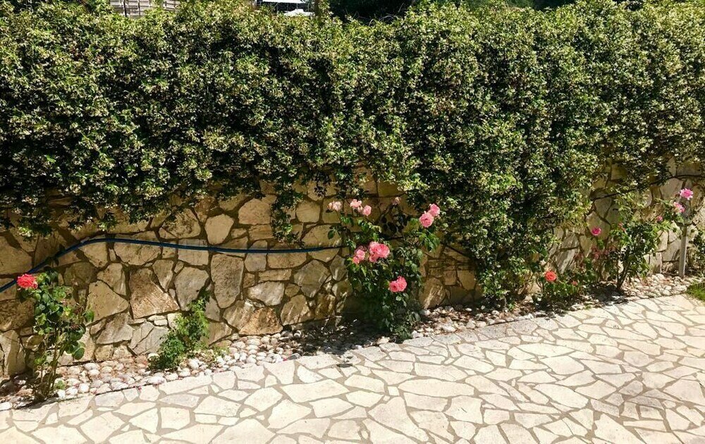 Фото PargaLand Studios & Apartments