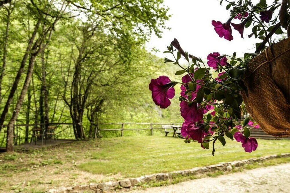 Фото Grab Ethno Village and Camp