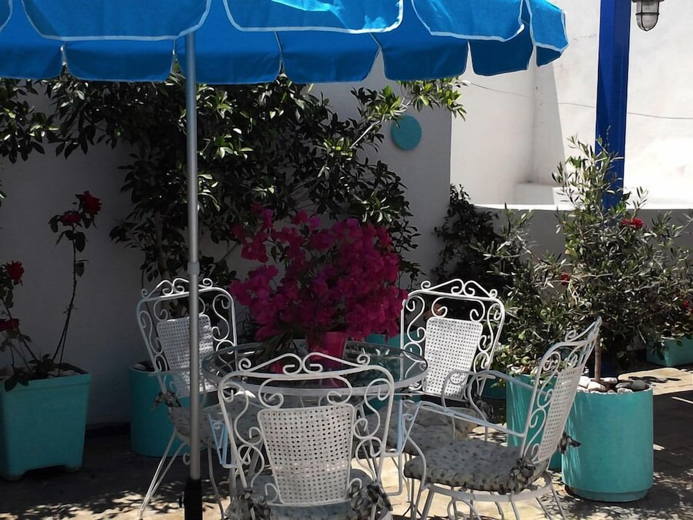 Фото Bouganville Apartments