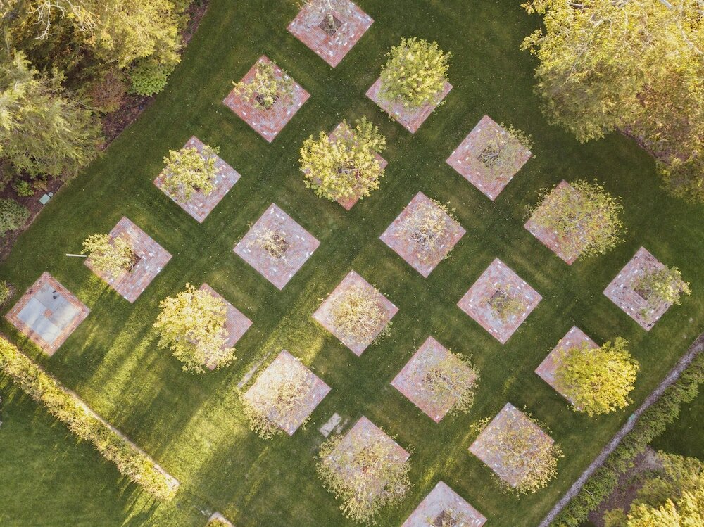 Фото The Reform Club