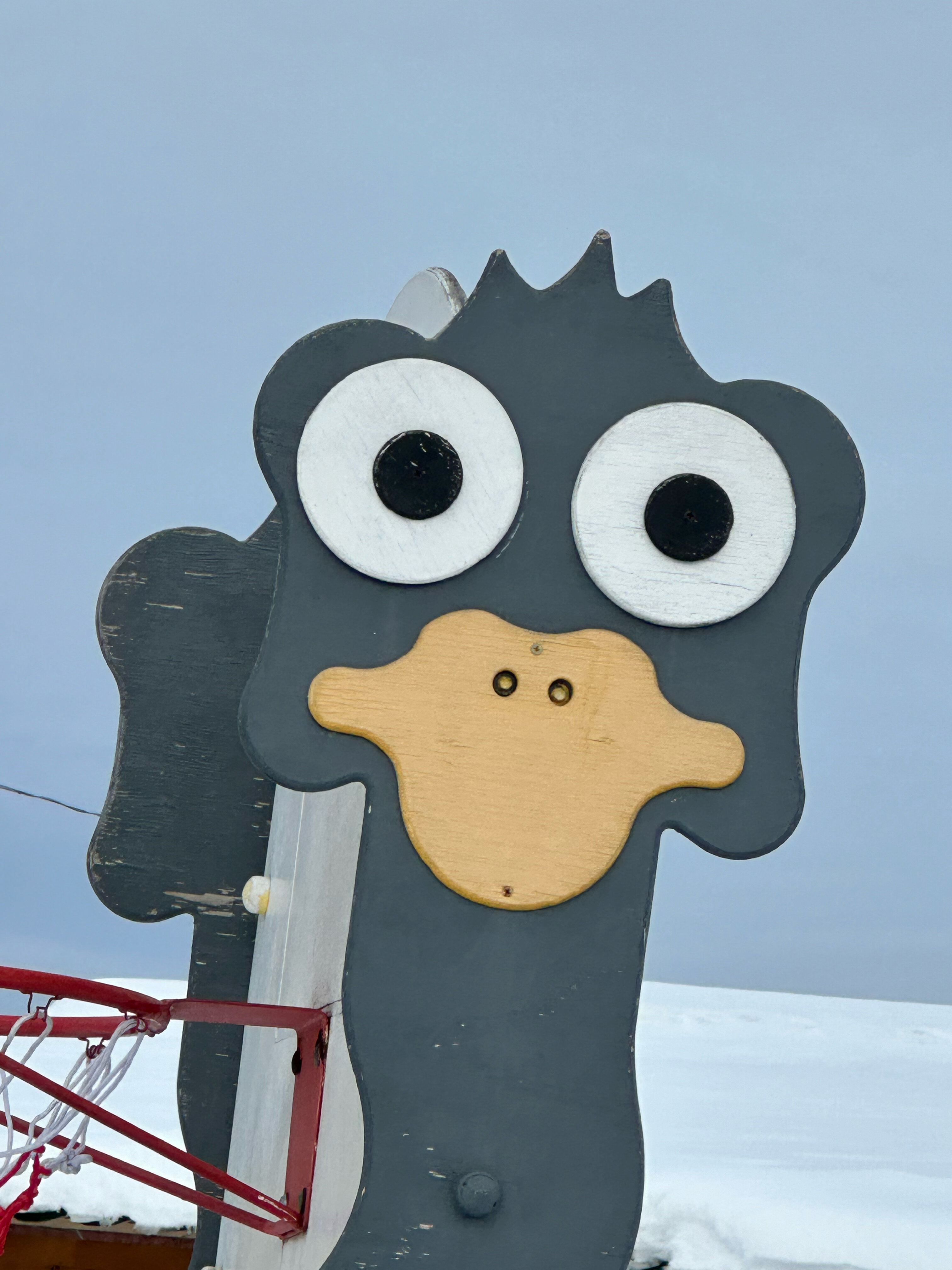 Фото Мурманская страусиная ферма